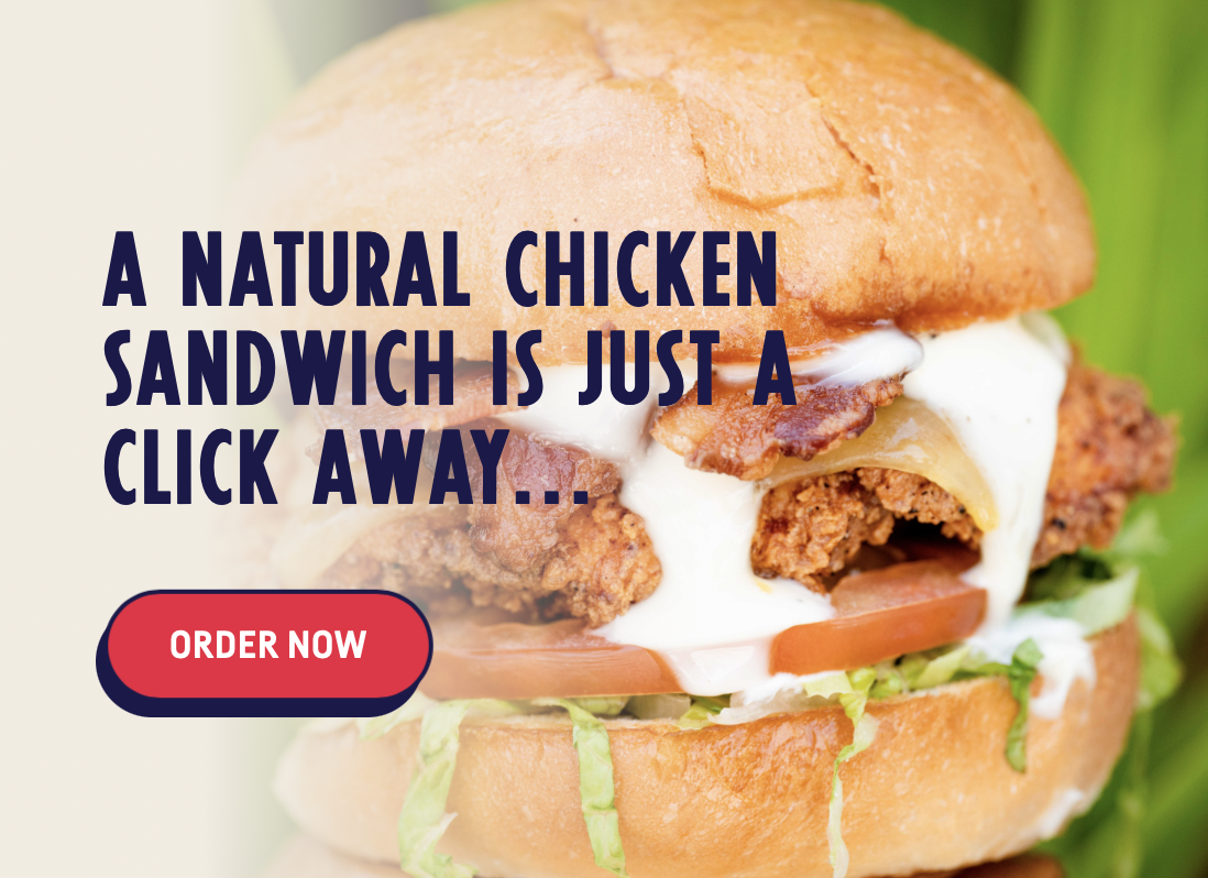 picture of birdcall chicken sandwich